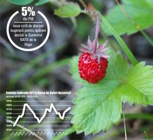 După alegeri, aceleaşi partide, taxe majorate